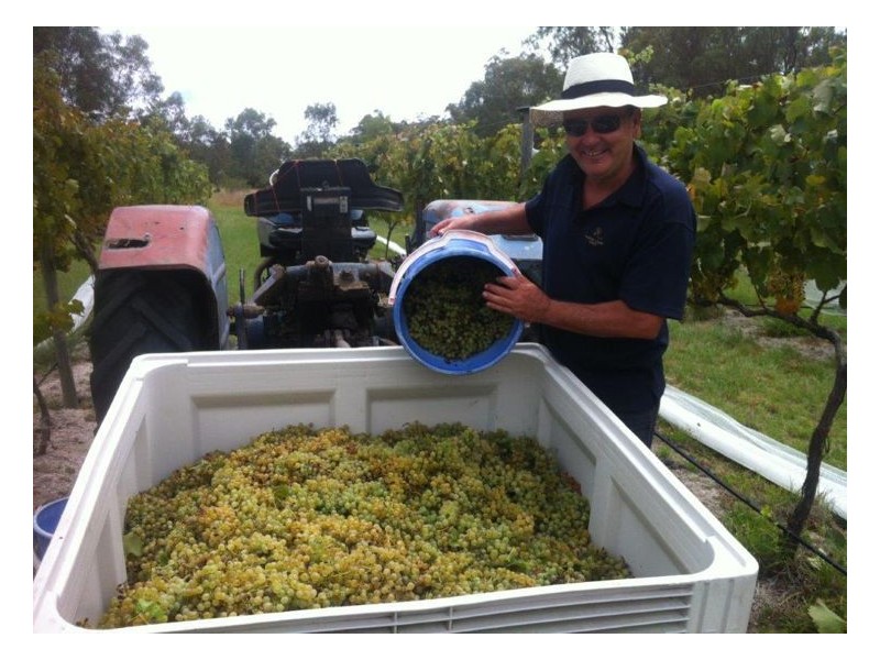 274 Spring Creek Road, Greenlands QLD 4380