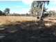 Lot 1 Maryland Road, Stanthorpe QLD 4380