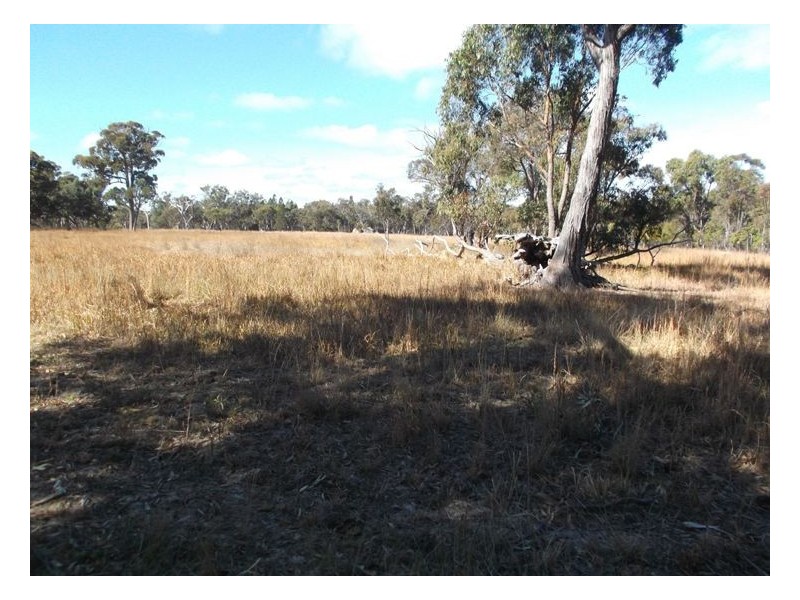 Lot 1 Maryland Road, Stanthorpe QLD 4380