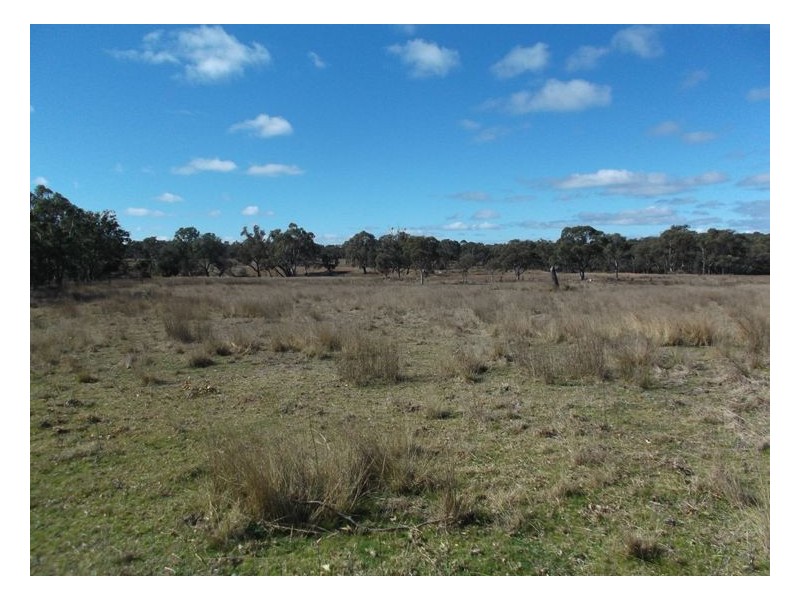 Lot 1 Maryland Road, Stanthorpe QLD 4380