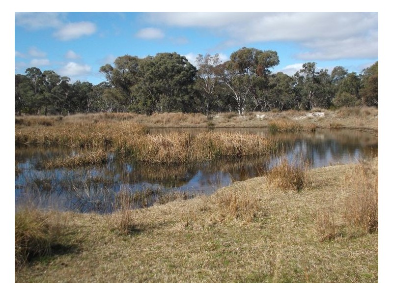 Lot 1 Maryland Road, Stanthorpe QLD 4380