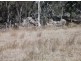 Lot 1 Maryland Road, Stanthorpe QLD 4380