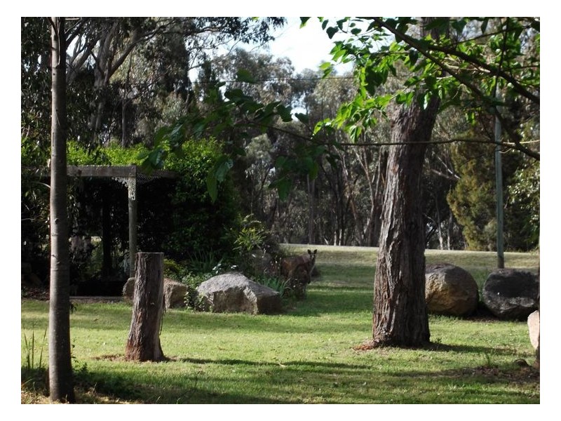 3 Lees Mountain Road, Stanthorpe QLD 4380