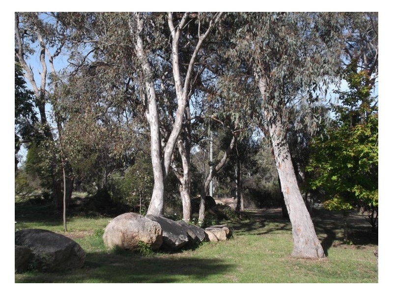 3 Lees Mountain Road, Stanthorpe QLD 4380