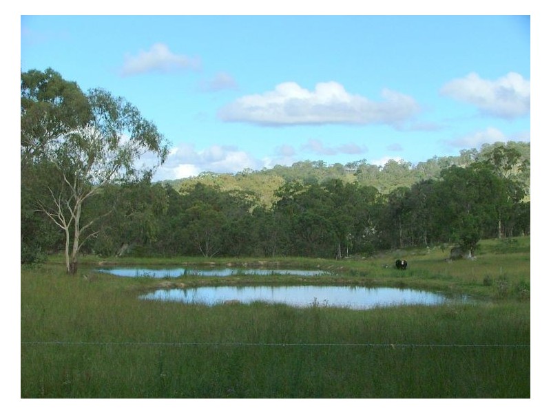 367 Wylie Creek Road, Liston NSW 2372