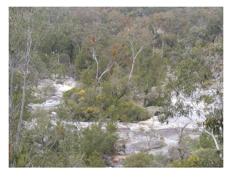 367 Wylie Creek Road, Liston NSW 2372