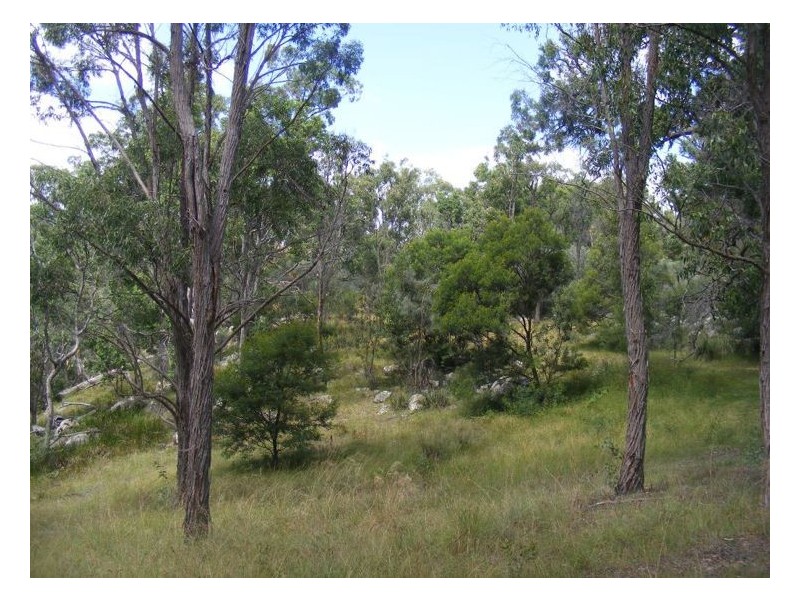 367 Wylie Creek Road, Liston NSW 2372