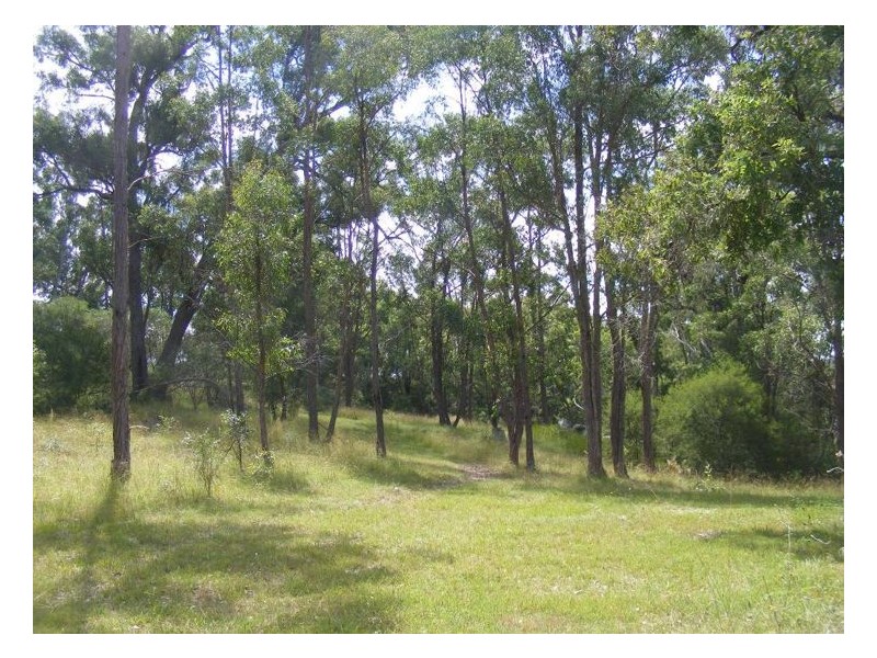 367 Wylie Creek Road, Liston NSW 2372