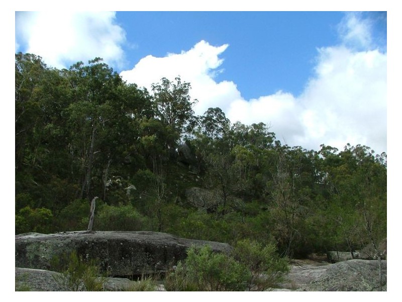 367 Wylie Creek Road, Liston NSW 2372