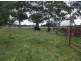522 Pozieres Road, Pozieres QLD 4352