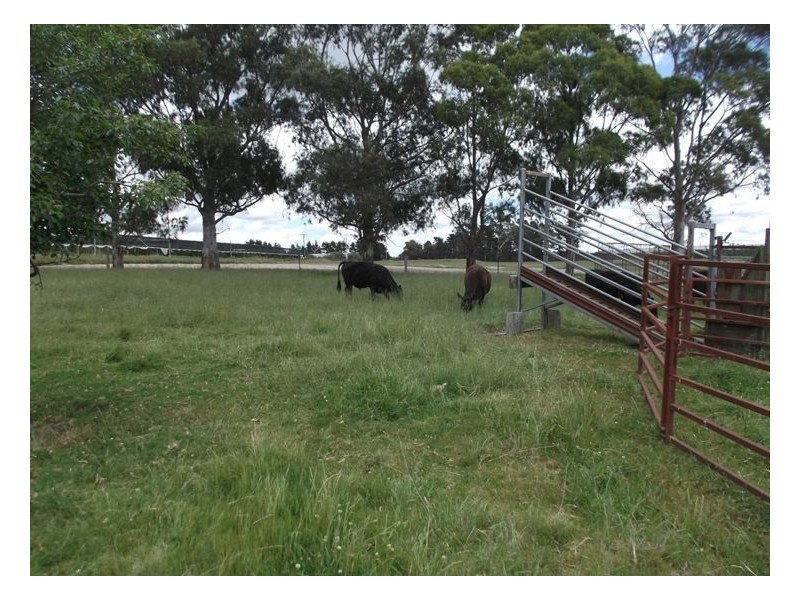 522 Pozieres Road, Pozieres QLD 4352