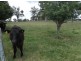 522 Pozieres Road, Pozieres QLD 4352