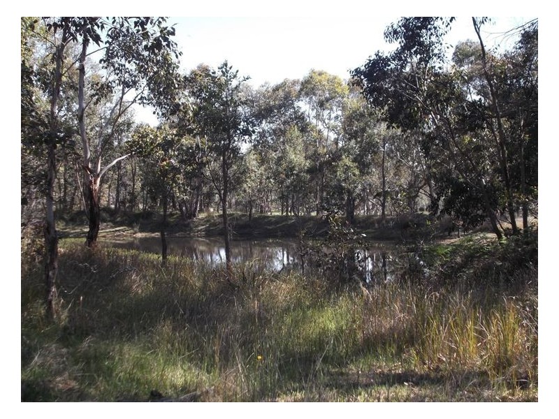 159 Unold Lane, Stanthorpe QLD 4380