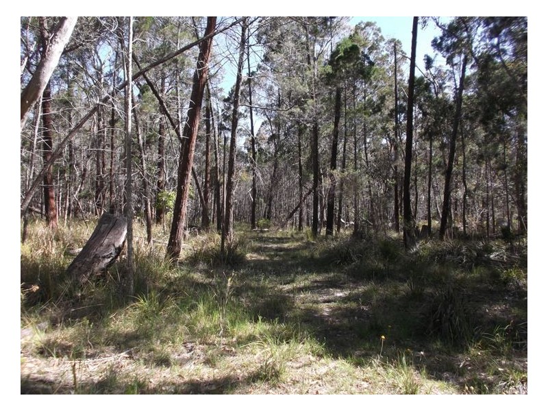 159 Unold Lane, Stanthorpe QLD 4380