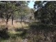 159 Unold Lane, Stanthorpe QLD 4380