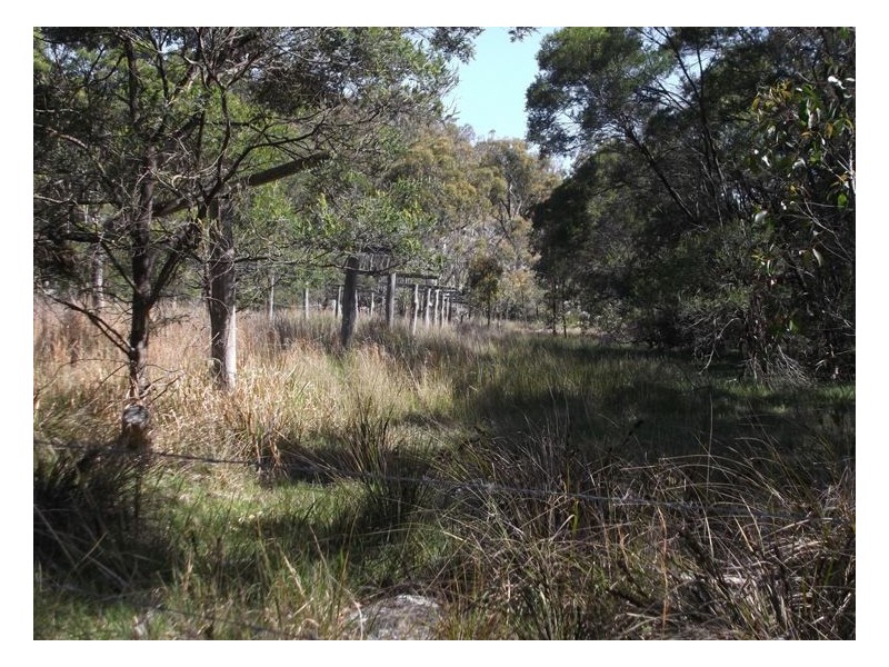 159 Unold Lane, Stanthorpe QLD 4380