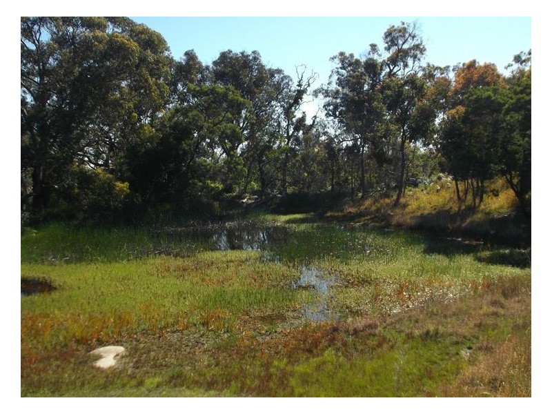 159 Unold Lane, Stanthorpe QLD 4380