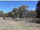 Lot 12 Saxby Road, Ballandean QLD 4382