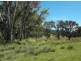 Lot 12 Saxby Road, Ballandean QLD 4382
