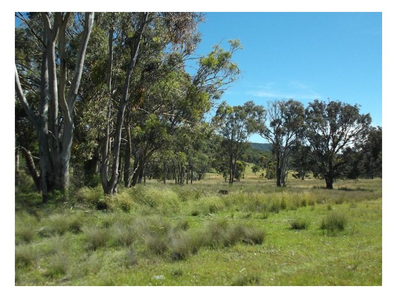 Lot 12 Saxby Road, Ballandean QLD 4382