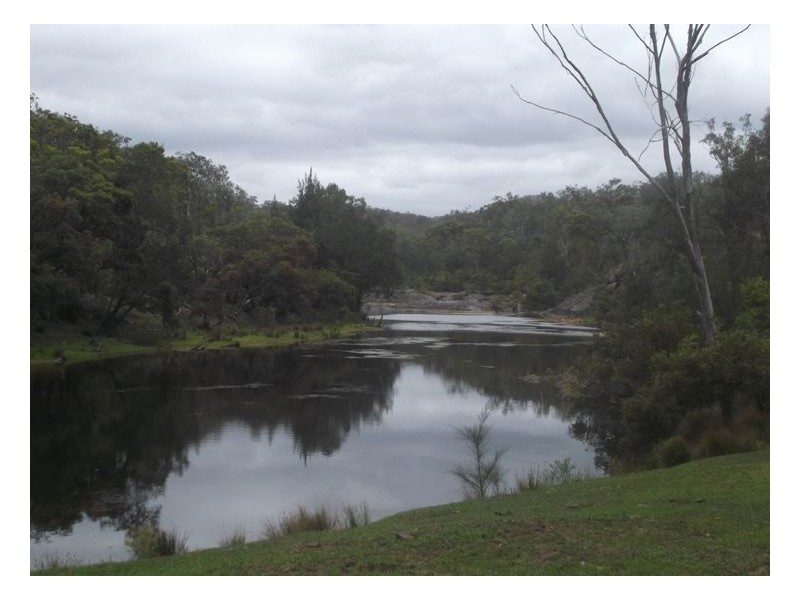 2339 Rivertree Road, Rivertree NSW 2372