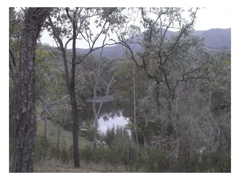 2339 Rivertree Road, Rivertree NSW 2372