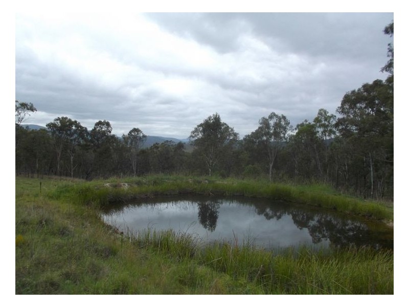 2339 Rivertree Road, Rivertree NSW 2372