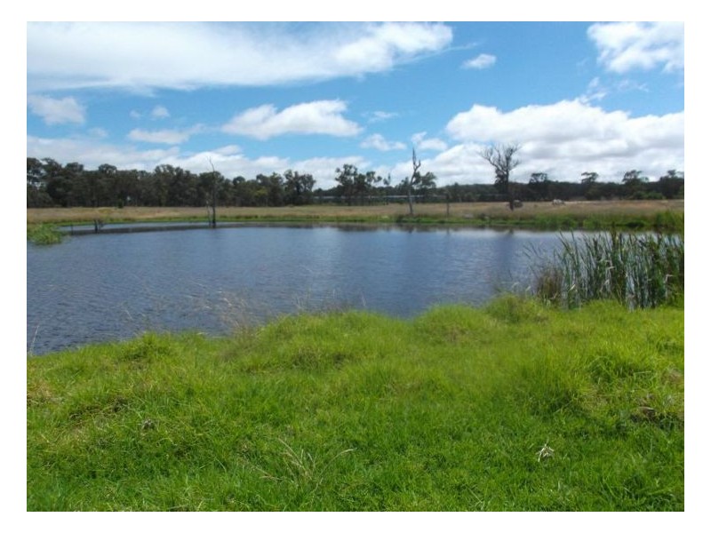 54 Barnes Road, Applethorpe QLD 4378