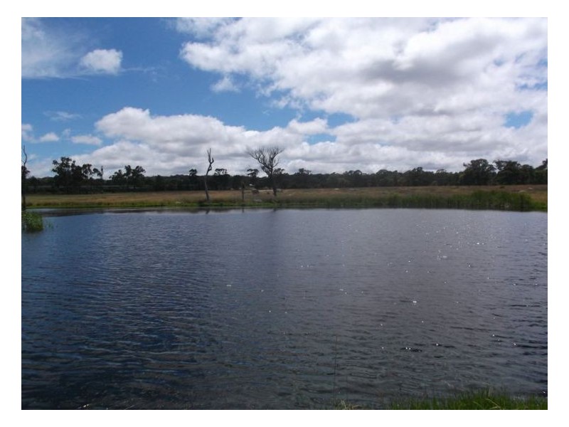 54 Barnes Road, Applethorpe QLD 4378