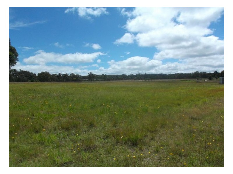 54 Barnes Road, Applethorpe QLD 4378