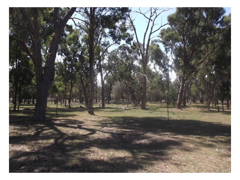 933 Mount Tully Road, Stanthorpe QLD 4380