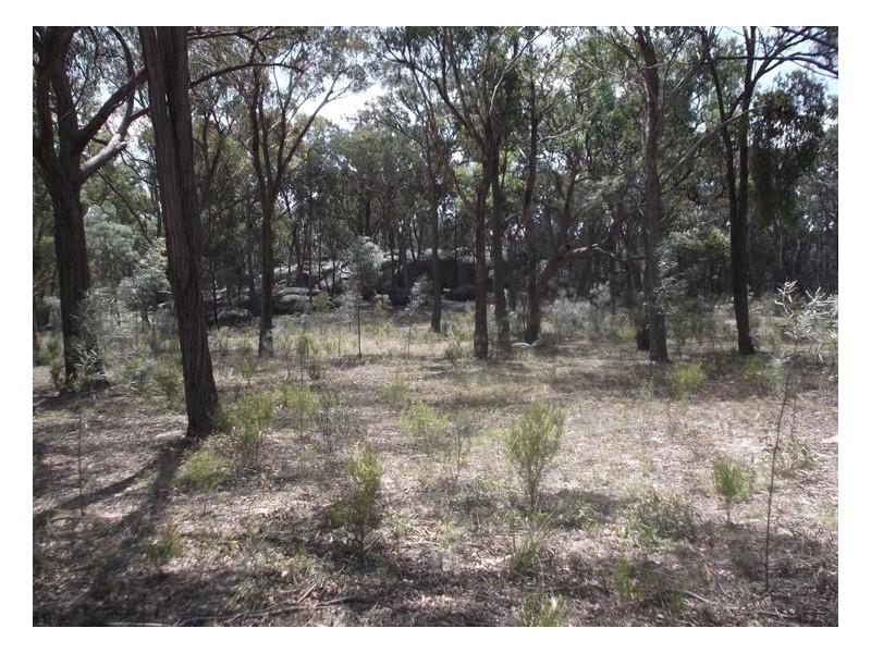 1628 Texas Road, Stanthorpe QLD 4380