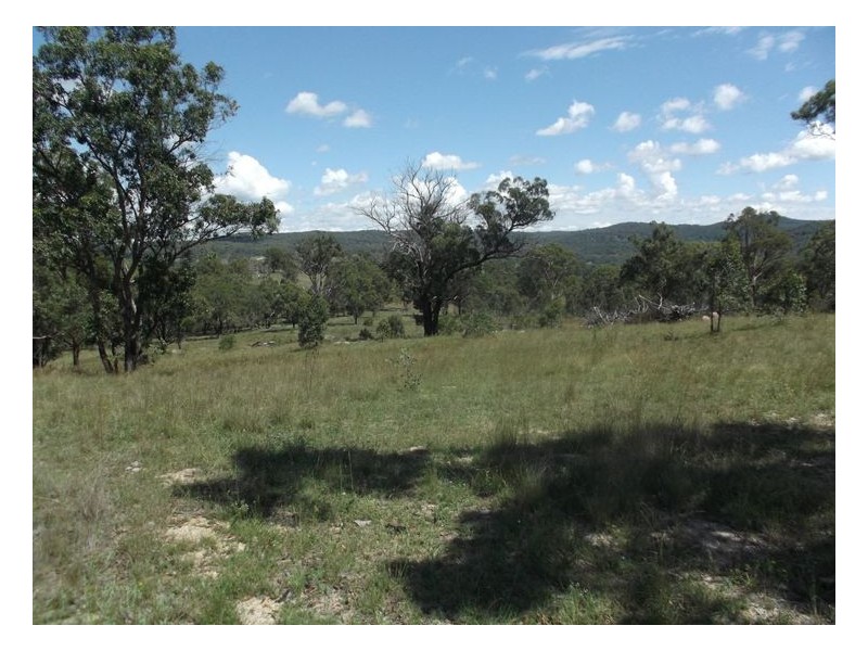 204 Wylie Creek Road, Wylie Creek NSW 2372