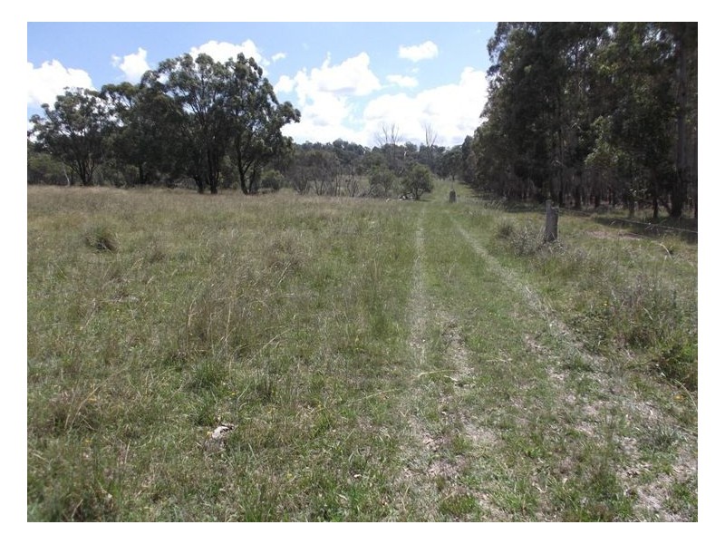 204 Wylie Creek Road, Wylie Creek NSW 2372