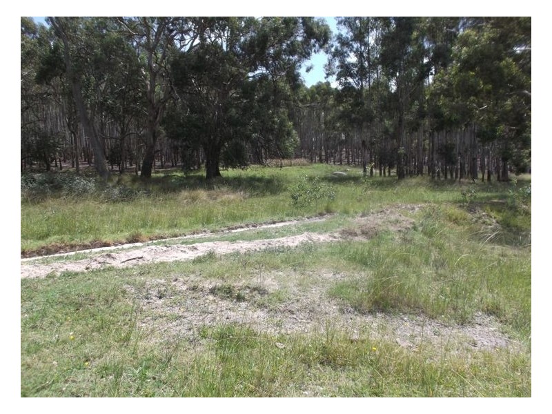 204 Wylie Creek Road, Wylie Creek NSW 2372