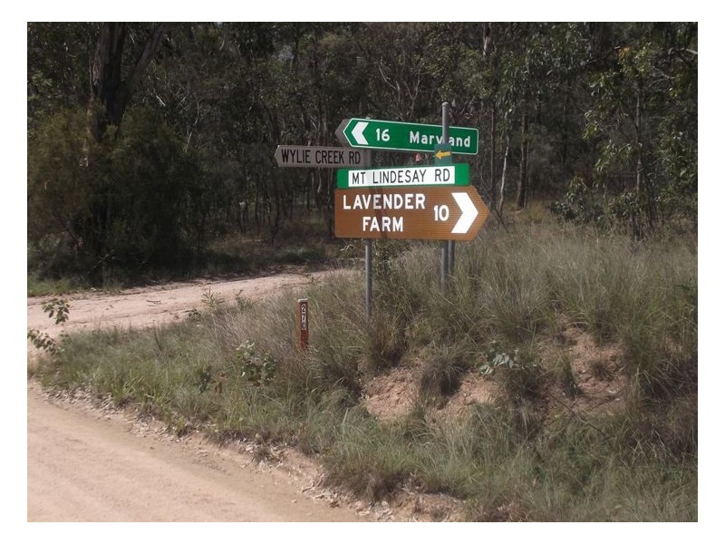 204 Wylie Creek Road, Wylie Creek NSW 2372