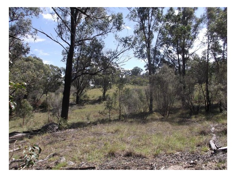 204 Wylie Creek Road, Wylie Creek NSW 2372
