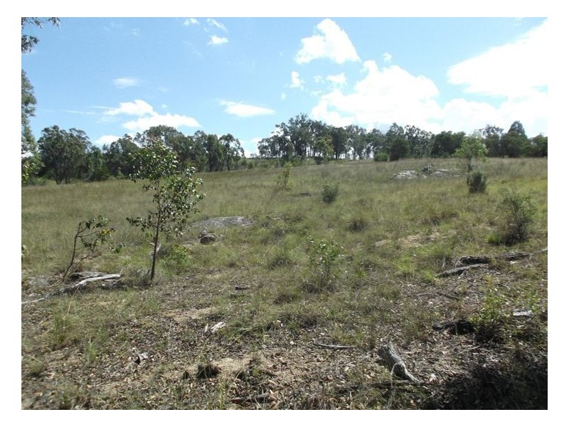 204 Wylie Creek Road, Wylie Creek NSW 2372