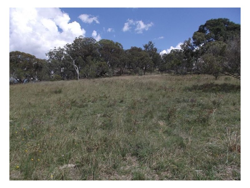 204 Wylie Creek Road, Wylie Creek NSW 2372