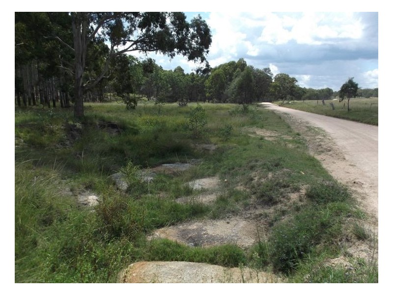 204 Wylie Creek Road, Wylie Creek NSW 2372