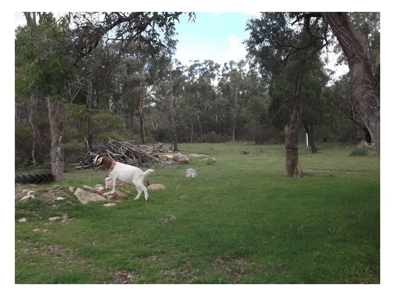 9 Knibb Road, Stanthorpe QLD 4380