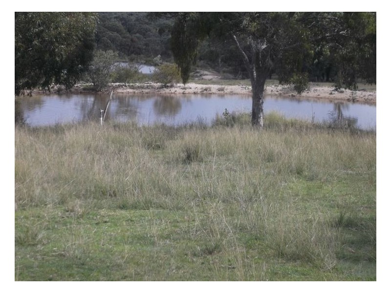 505 Goldfields Road, Stanthorpe QLD 4380