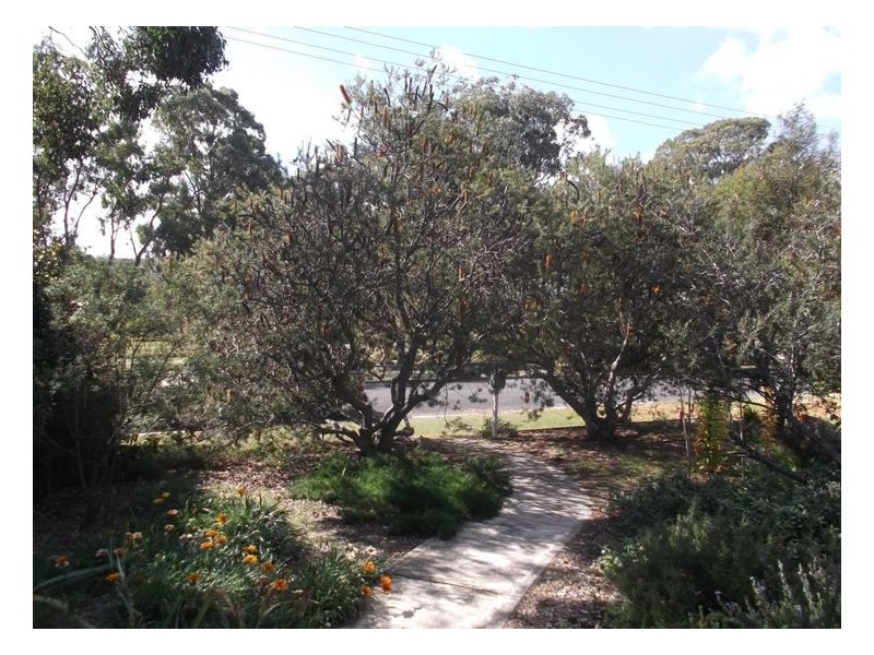 23 Allison Street, Stanthorpe QLD 4380