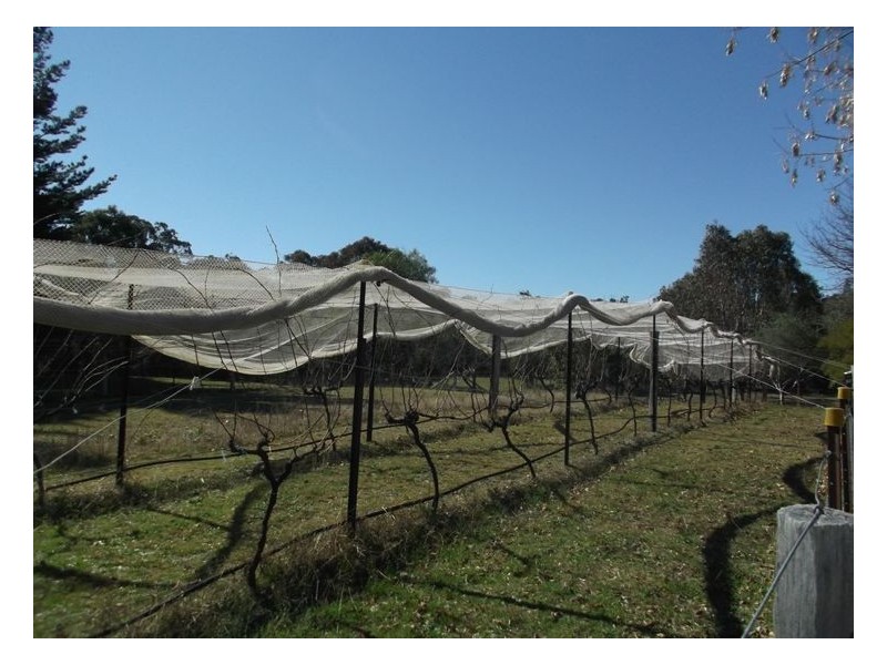 387 Thorndale Road, Thorndale QLD 4380