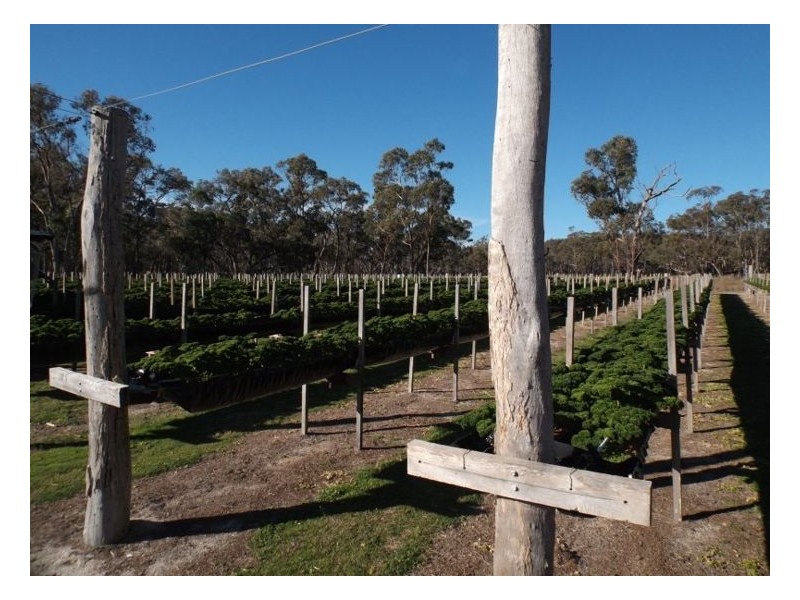 3 McGrath Lane, Applethorpe QLD 4378