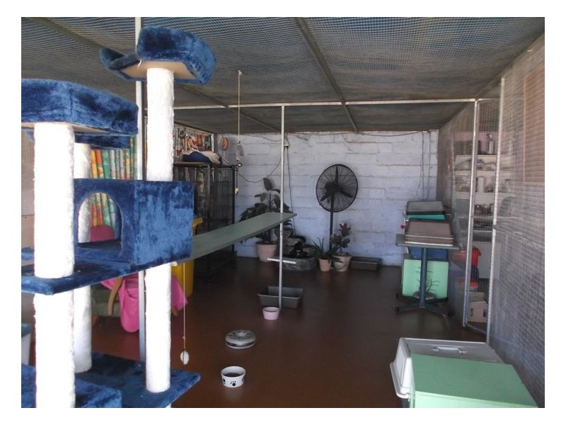 221 Tennant Road, Thulimbah QLD 4376