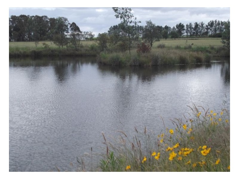 249 Granite Belt Drive, Thulimbah QLD 4376