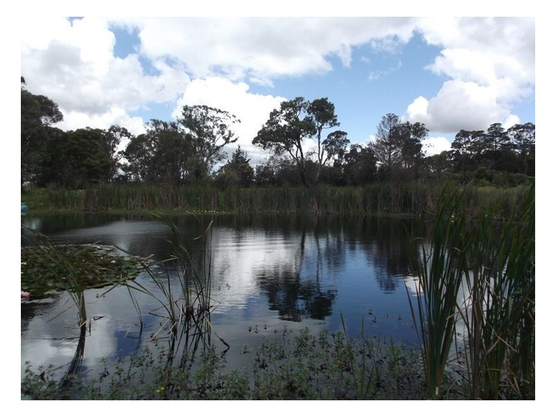 249 Granite Belt Drive, Thulimbah QLD 4376