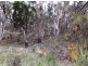 19 Roberts Road, Stanthorpe QLD 4380