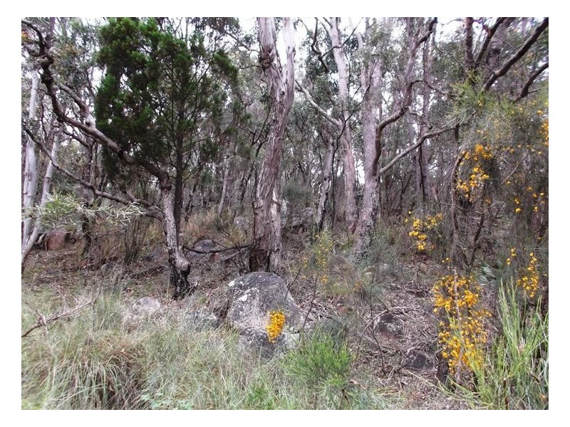 19 Roberts Road, Stanthorpe QLD 4380